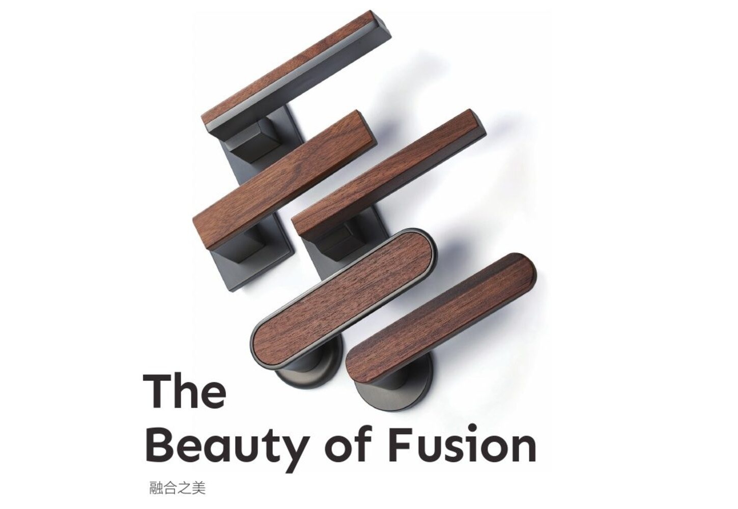 Fusion of Beauty